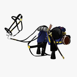 Civil War Saddle & Bridle