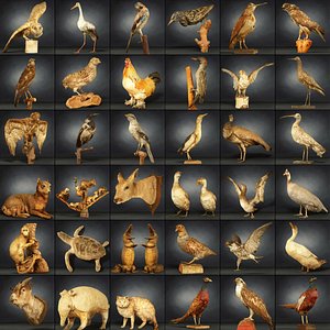 36 Animals Master Collection