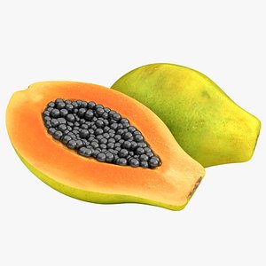 realistic papaya color 2 3D model