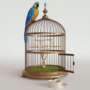 3D parrot ara model