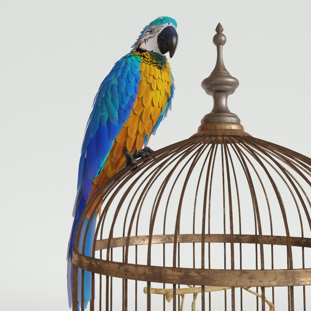 3D parrot ara model https://p.turbosquid.com/ts-thumb/g8/jLP5x1/GphBT9yN/preview2/jpg/1495192841/1920x1080/fit_q87/94101aabaa2969a1c7d5d90f0e6be1946a9d7093/preview2.jpg