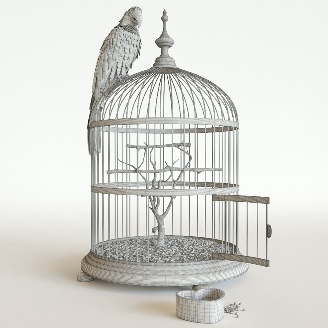 3D parrot ara model https://p.turbosquid.com/ts-thumb/g8/jLP5x1/L2PUNFjF/preview5/jpg/1495192841/1920x1080/fit_q87/aa05391f08ddcb821726d2859e8b1fd86a9c50c1/preview5.jpg