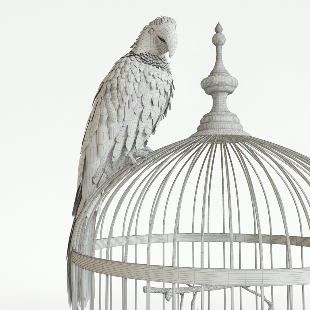 3D parrot ara model https://p.turbosquid.com/ts-thumb/g8/jLP5x1/q5qxIZ0u/preview6/jpg/1495192841/1920x1080/fit_q87/8deae4145536c64c58bb125a45c975a48d550336/preview6.jpg