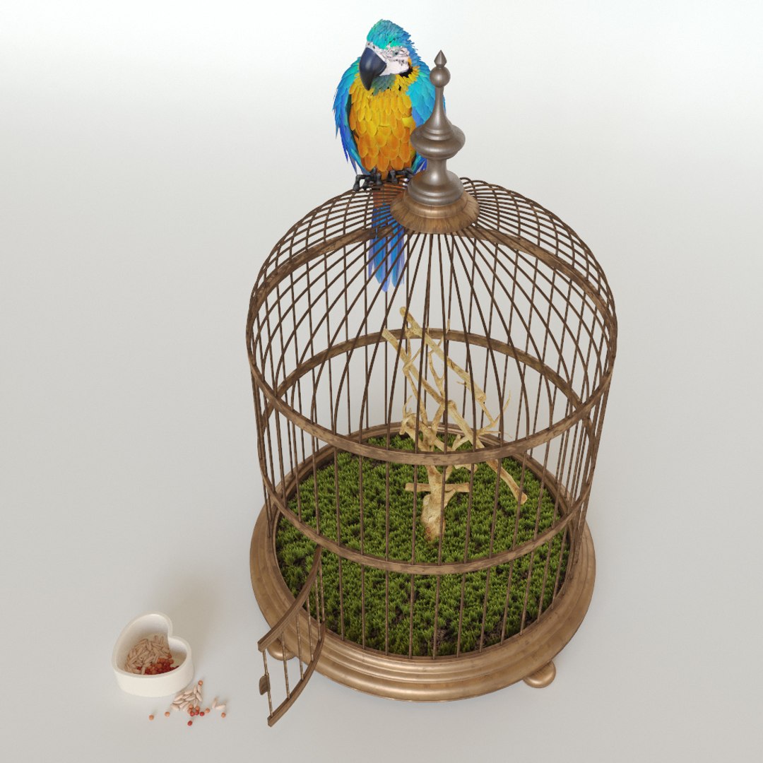 3D parrot ara model https://p.turbosquid.com/ts-thumb/g8/jLP5x1/zhVbUZW3/preview3/jpg/1495192841/1920x1080/fit_q87/366ac16461b4da52cdaa50f500093a1449b5a931/preview3.jpg
