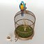 Parrot Ara