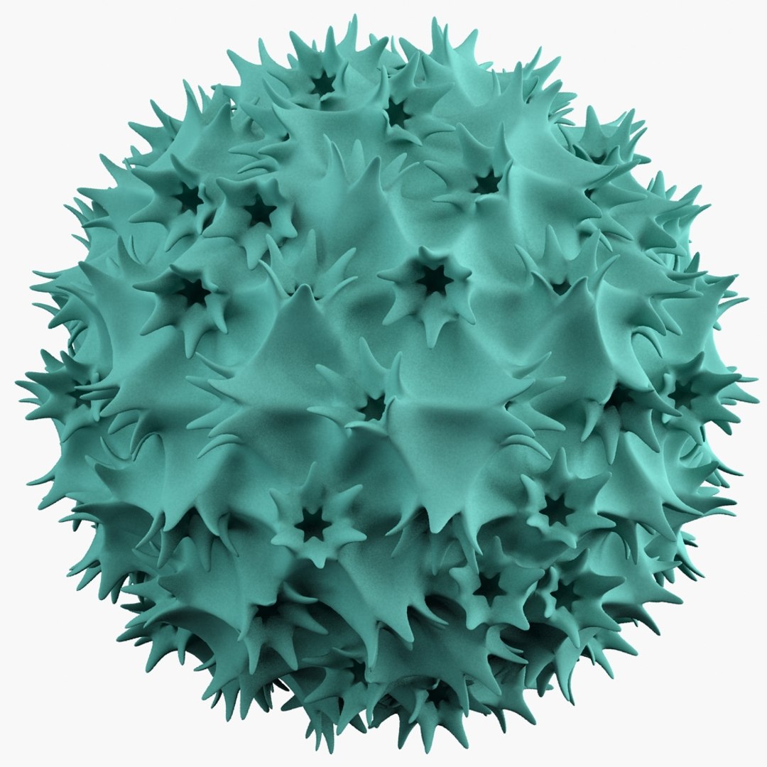 Micro Object Mht 3d Max