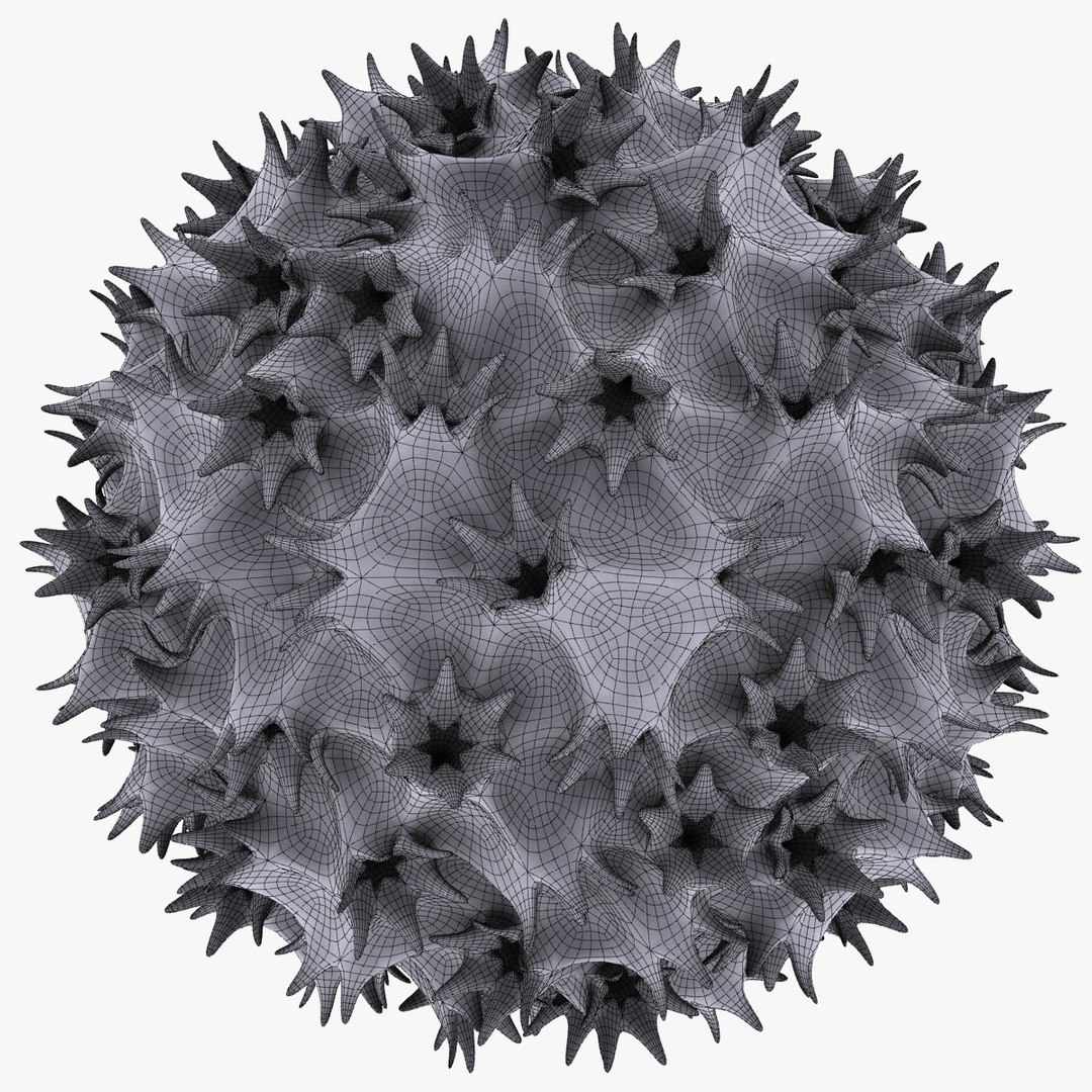 Micro Object Mht 3d Max