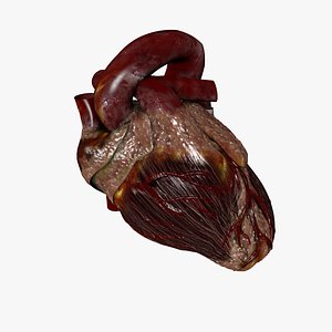 Beating Heart