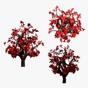 Red Mapple Tree 3D model