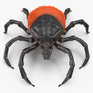 Tick Fur