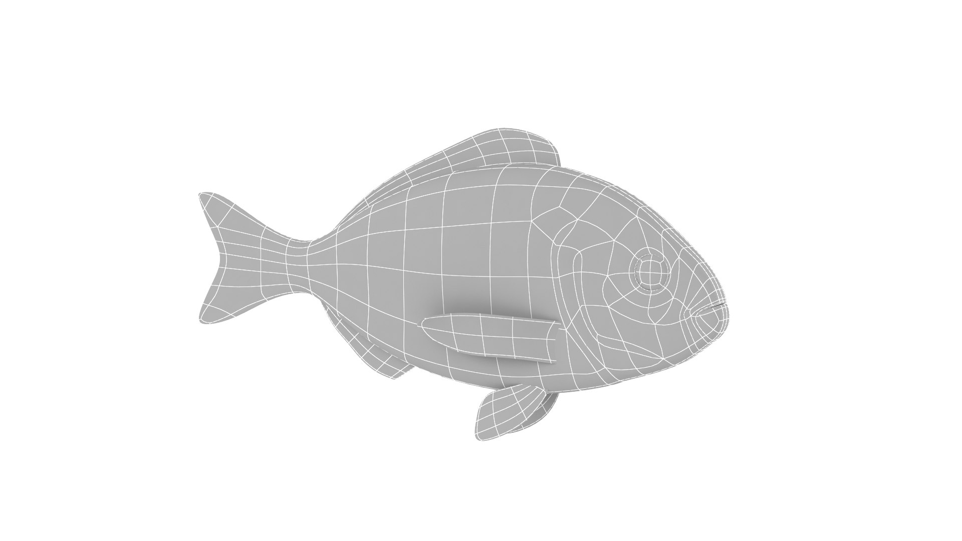 Fish Collection 3D Model - TurboSquid 2283436