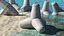 3D Tetrapod Coastal Protection Concrete Block