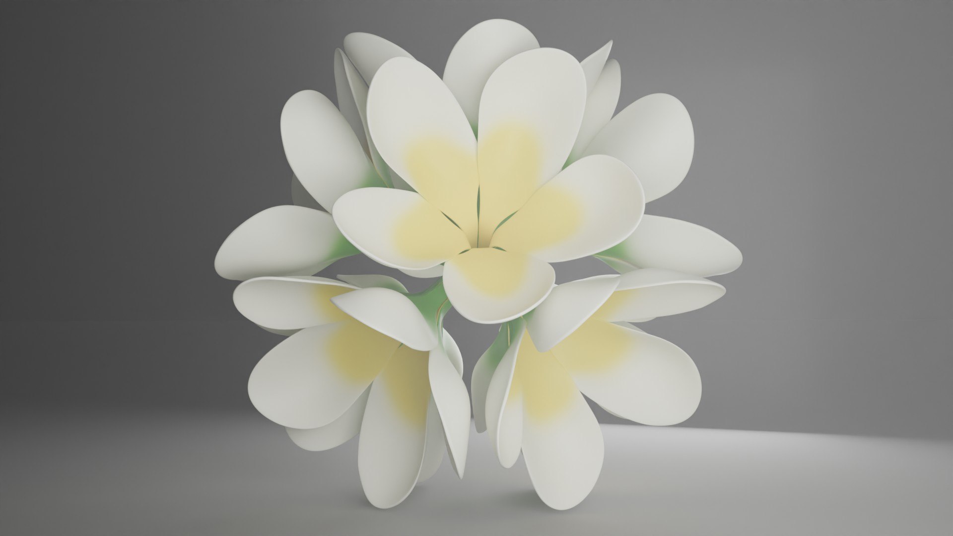Stylized Frangipani Kamboja Flower Cluster 3D model https://p.turbosquid.com/ts-thumb/g9/uPjGy8/VY/flower_27/jpg/1773238125/1920x1080/fit_q87/17c4f56a2027bf53e84e27d0fbd2c80ff2eda770/flower_27.jpg