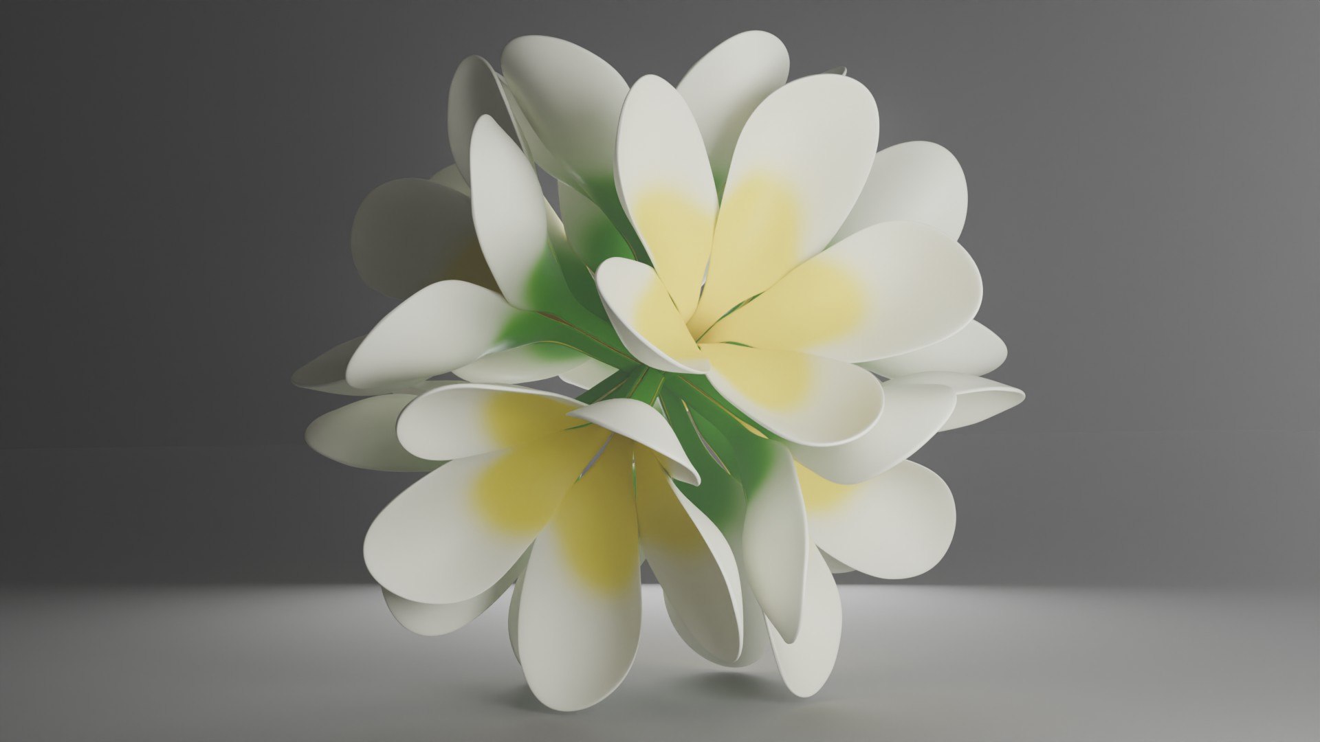 Stylized Frangipani Kamboja Flower Cluster 3D model https://p.turbosquid.com/ts-thumb/g9/uPjGy8/ee/flower_25/jpg/1773238125/1920x1080/fit_q87/d4ce18ea6013ea1c0cf6198f2317c452e82e3700/flower_25.jpg