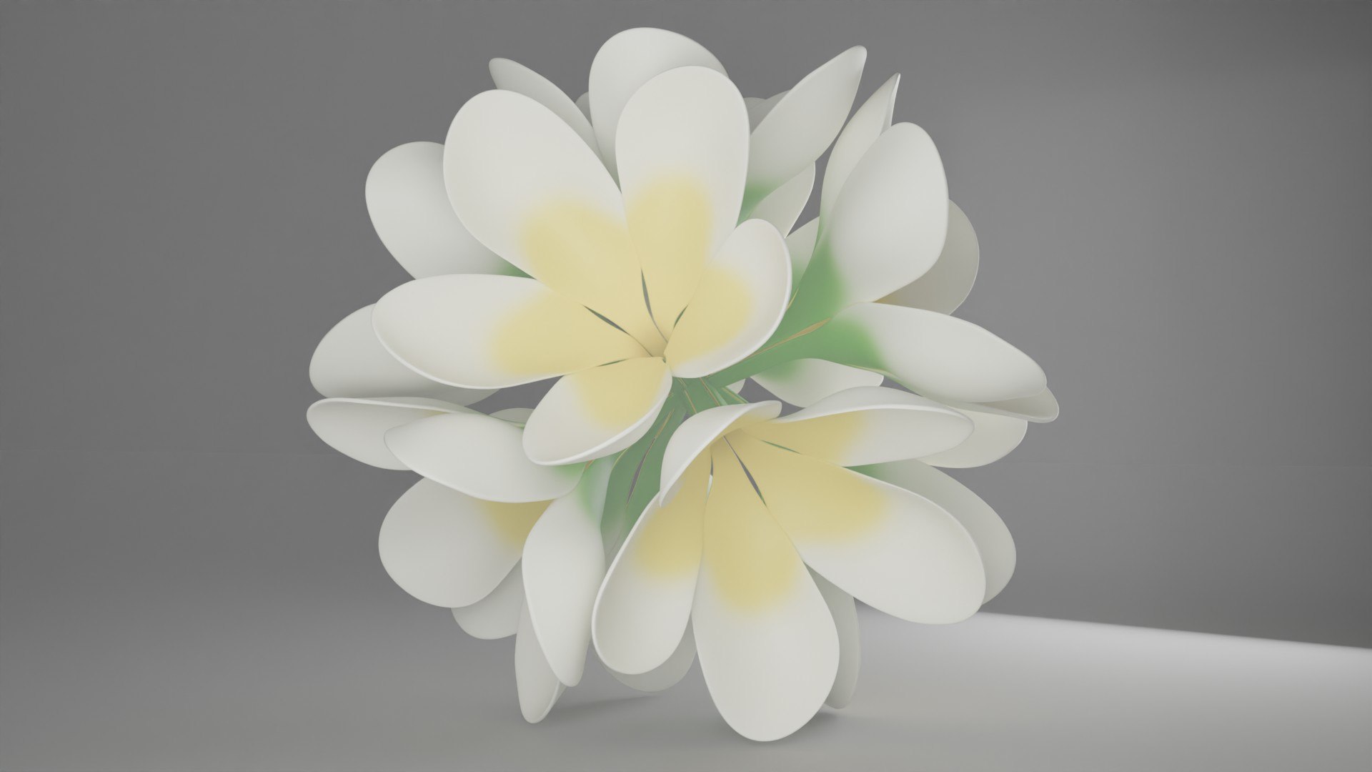 Stylized Frangipani Kamboja Flower Cluster 3D model https://p.turbosquid.com/ts-thumb/g9/uPjGy8/iY/flower_29/jpg/1773238126/1920x1080/fit_q87/d07e72eead8f84c0b299d1db98e03efbd76f813f/flower_29.jpg