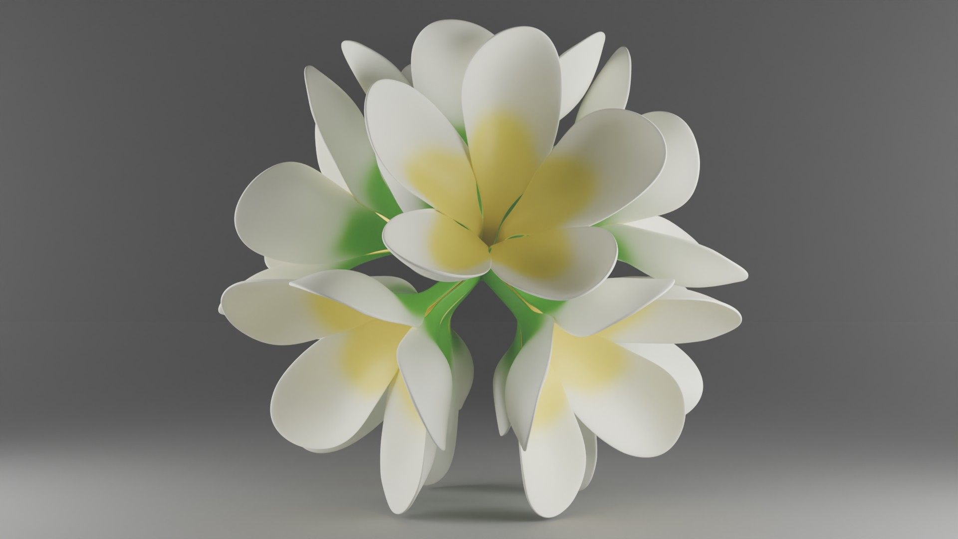 Stylized Frangipani Kamboja Flower Cluster 3D model https://p.turbosquid.com/ts-thumb/g9/uPjGy8/j9/flower/jpg/1773238165/1920x1080/turn_fit_q99/cb5d7b04badda745bf103fe991af49e361f2f1d7/flower-1.jpg