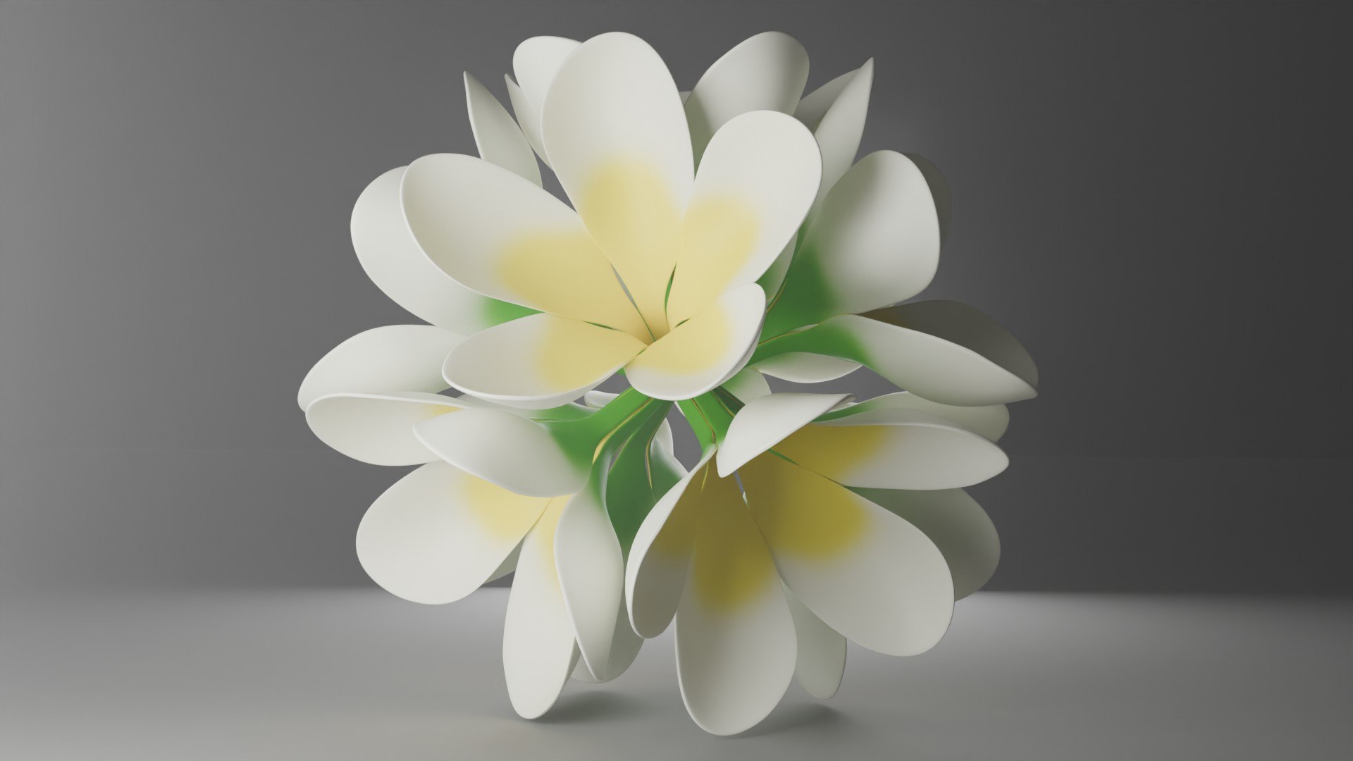 Stylized Frangipani Kamboja Flower Cluster 3D model https://p.turbosquid.com/ts-thumb/g9/uPjGy8/va/flower_11/jpg/1773238122/1920x1080/fit_q87/11244ae3989b24c127abfe4134daf75548dad957/flower_11.jpg