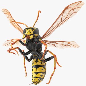 3D wasp attack pose fur