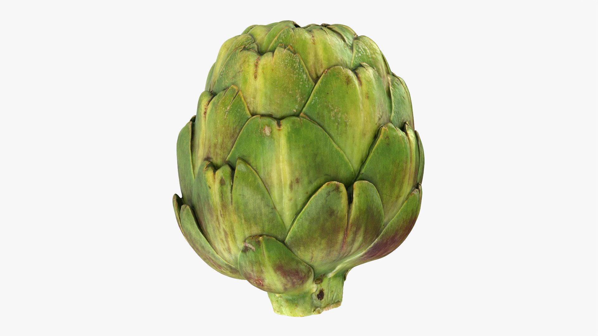 Artichoke Collection 2 3D model https://p.turbosquid.com/ts-thumb/gA/JrxSMm/SW/artichoke_0001/png/1761114619/1920x1080/fit_q87/76768338bdb96a31bdeaf1820f49fd272c51c20a/artichoke_0001.jpg