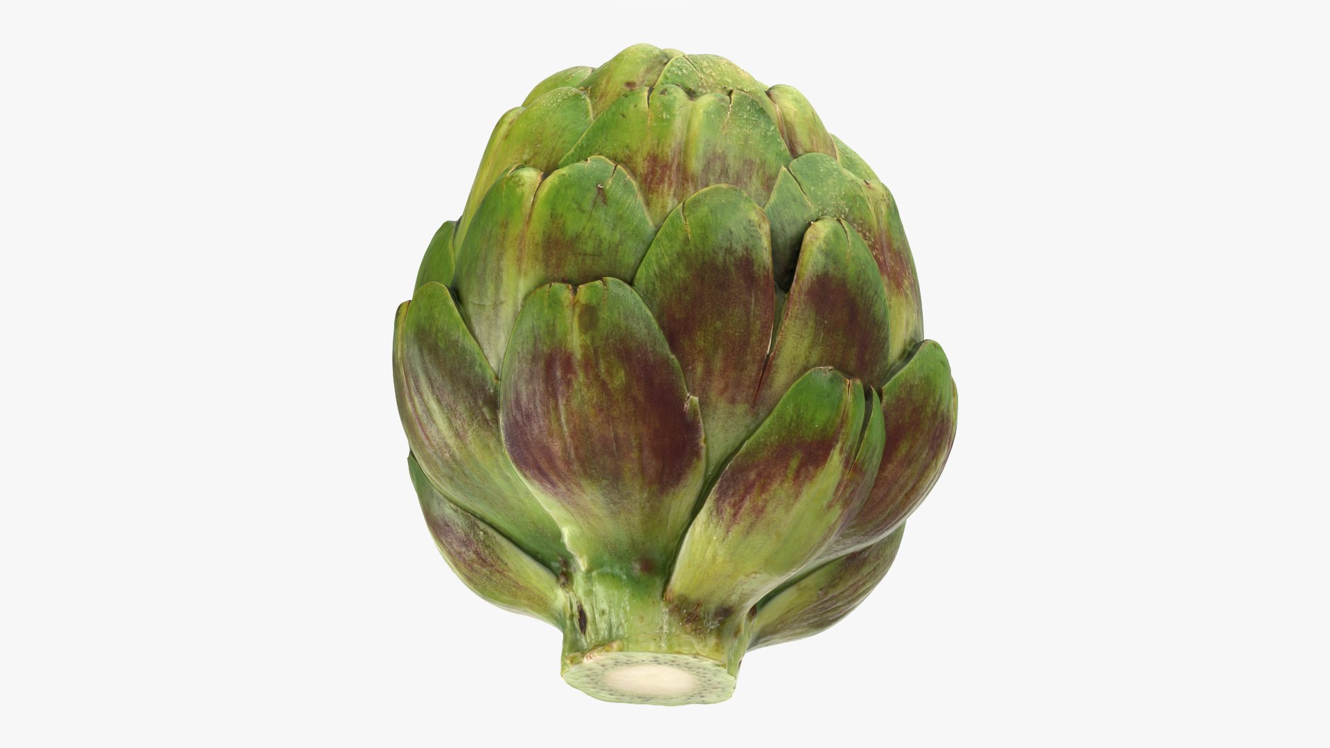 Artichoke Collection 2 3D model https://p.turbosquid.com/ts-thumb/gA/JrxSMm/Z9/artichoke_0002/png/1761114629/1920x1080/fit_q87/b47f6f09b348b9f7c85b3d96332a12d646edf686/artichoke_0002.jpg