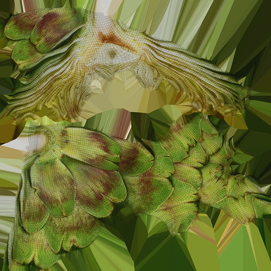 Artichoke Collection 2 3D model https://p.turbosquid.com/ts-thumb/gA/JrxSMm/ce/artichokehalf_c0004/png/1761114712/1920x1080/fit_q87/35df3ac2f11e8848347d5d453360f5fe338b7330/artichokehalf_c0004.jpg