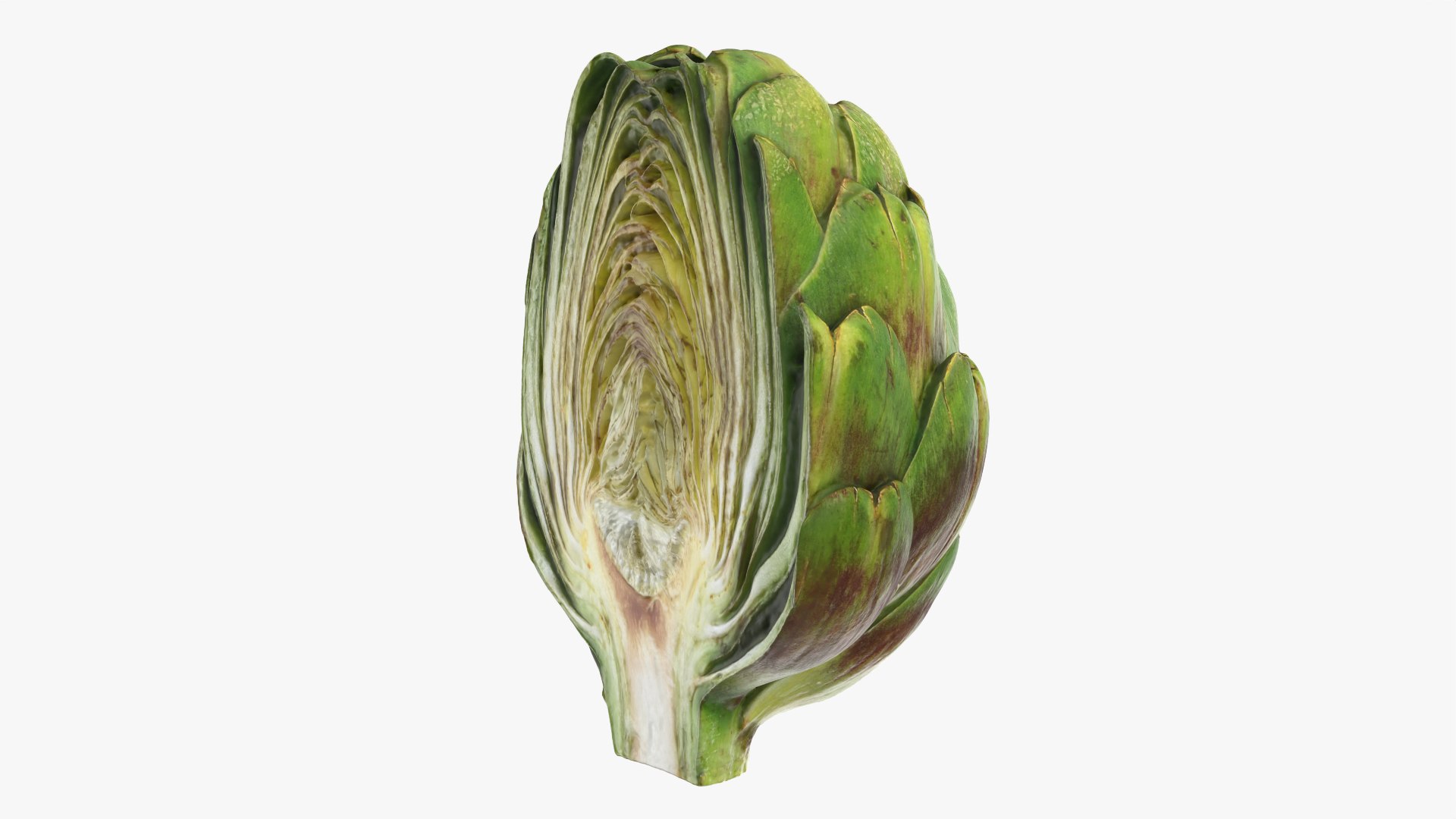 Artichoke Collection 2 3D model https://p.turbosquid.com/ts-thumb/gA/JrxSMm/o8/artichokehalf_0007/png/1761114712/1920x1080/fit_q87/e9c8f3f3f3eac3fab69fb952cb7a697ea631152d/artichokehalf_0007.jpg