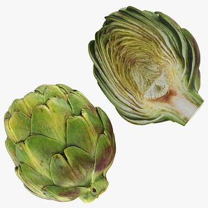 Artichoke Collection 2 3D model