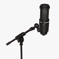 Audio-Technica AT2020 mic