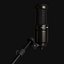 Audio-Technica AT2020 mic