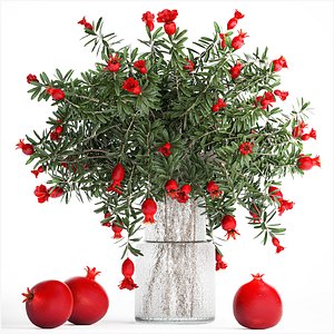 Bouquet of flowers and branches of blooming pomegranate 387