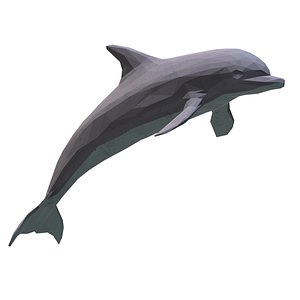 Dolphin - low poly 3D model