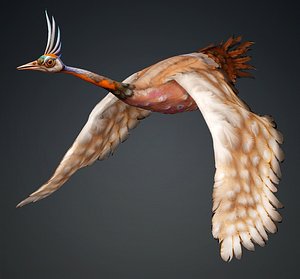 Crane Bird-B2 3D model
