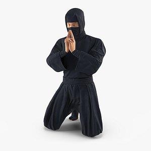 ninja rigged 3D