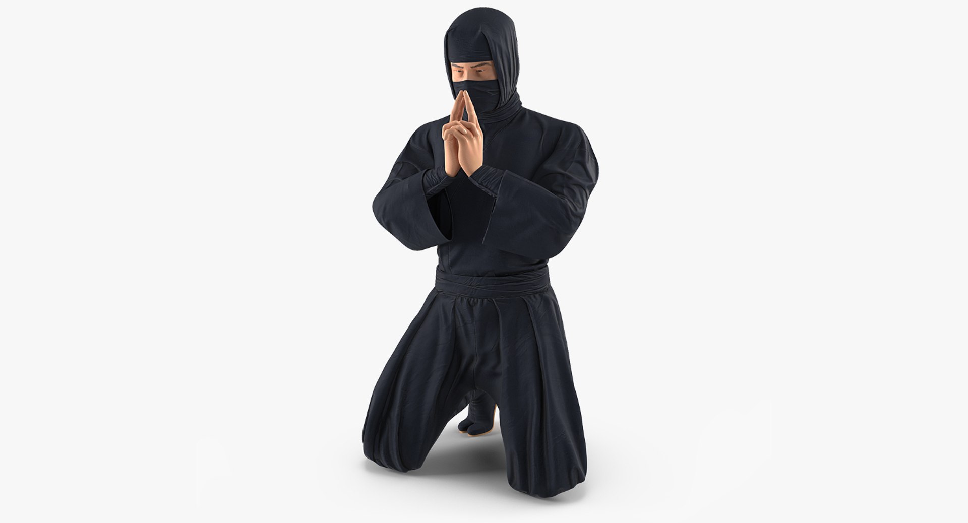 Ninja Rigged 3D model preview