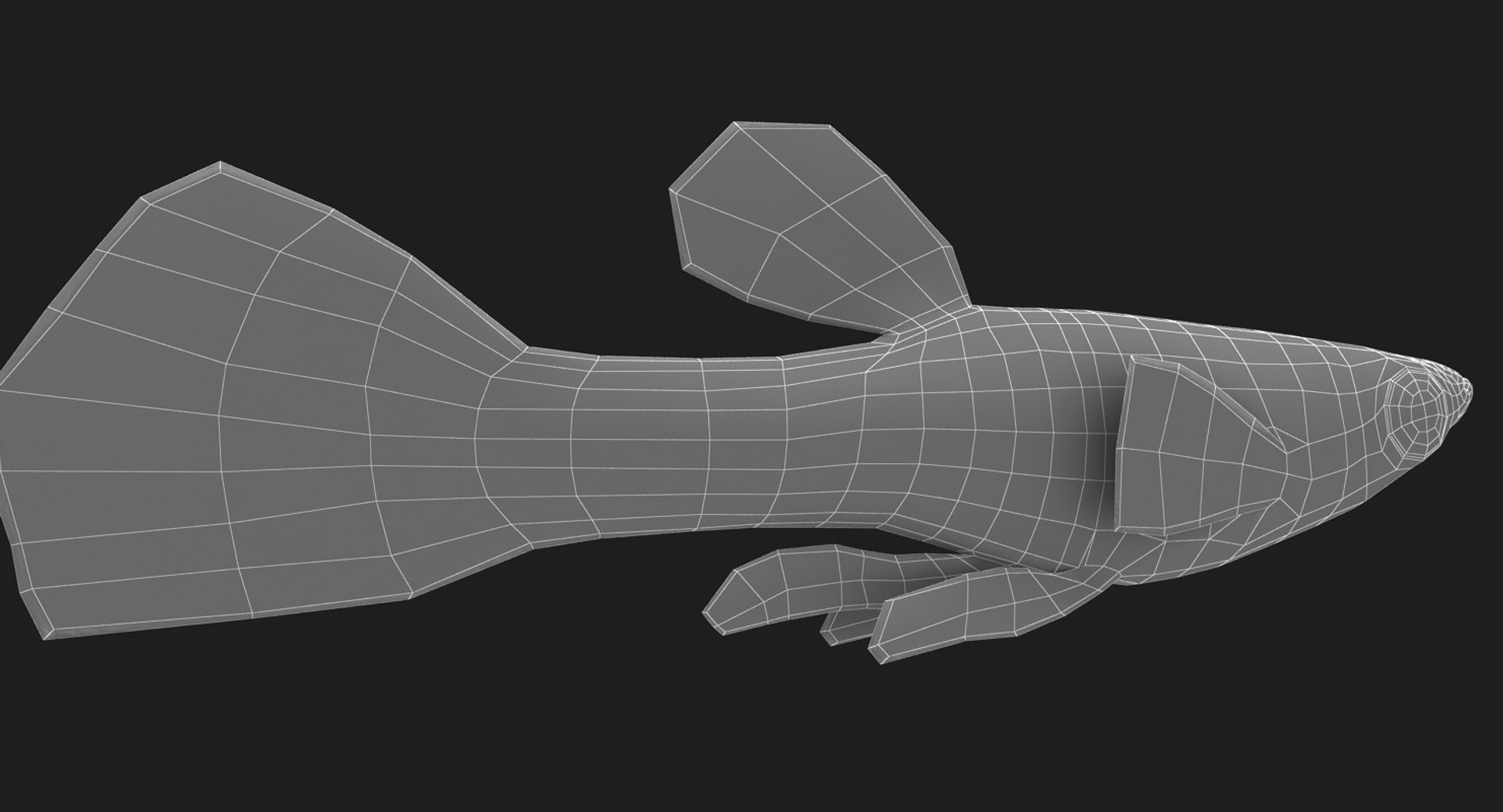 poecilia wingei model https://p.turbosquid.com/ts-thumb/gA/przp6C/JyalLozj/ryukingoldfish_rr25/jpg/1542298726/1920x1080/fit_q87/374c487bb0454ea86c8e2395ebfa214ca86b13c9/ryukingoldfish_rr25.jpg