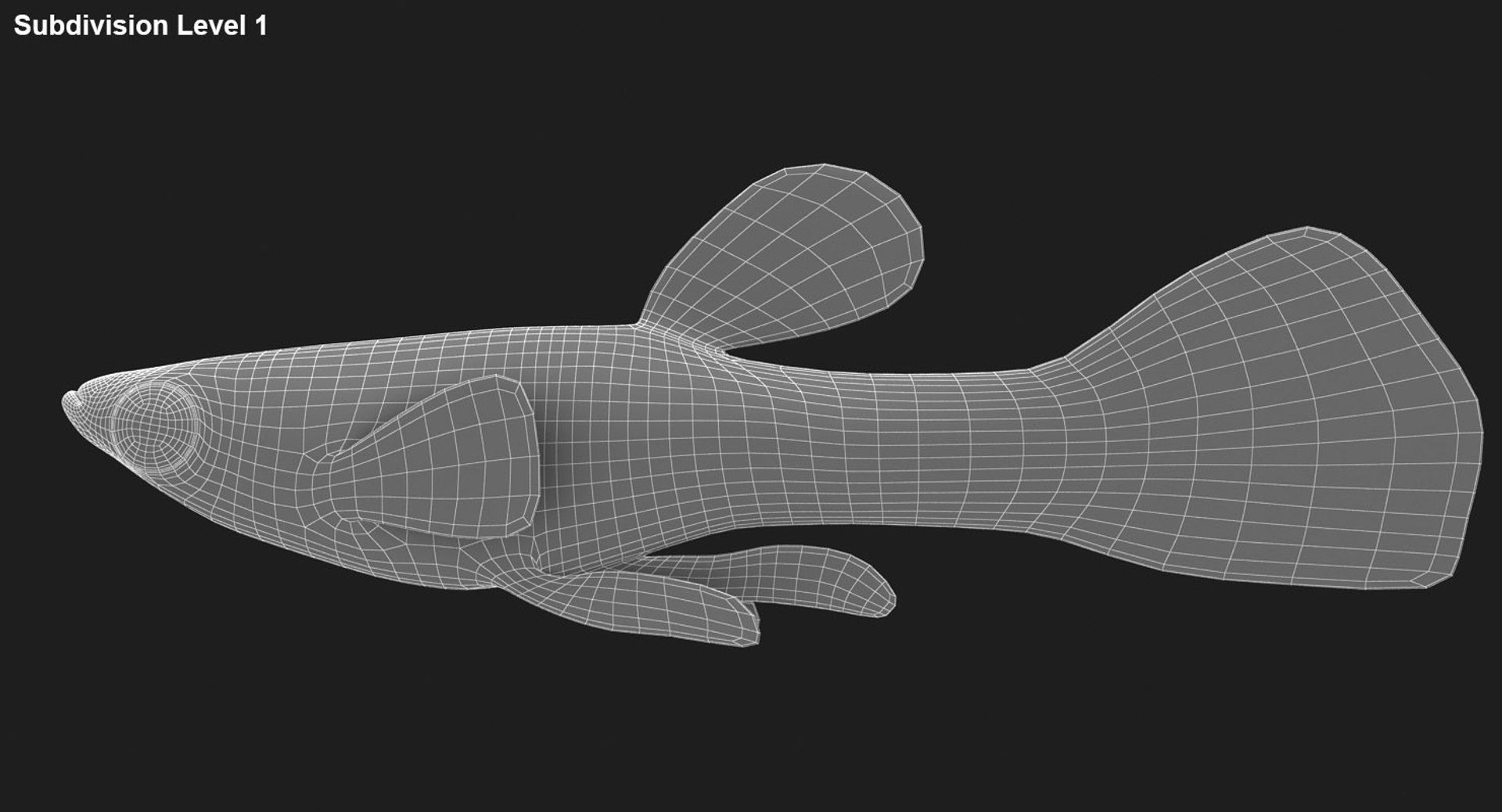 poecilia wingei model https://p.turbosquid.com/ts-thumb/gA/przp6C/Tm4PCrxZ/ryukingoldfish_rr31/jpg/1542298726/1920x1080/fit_q87/a6867f2a8777d85f63fd6946c5cf0c769e051e00/ryukingoldfish_rr31.jpg