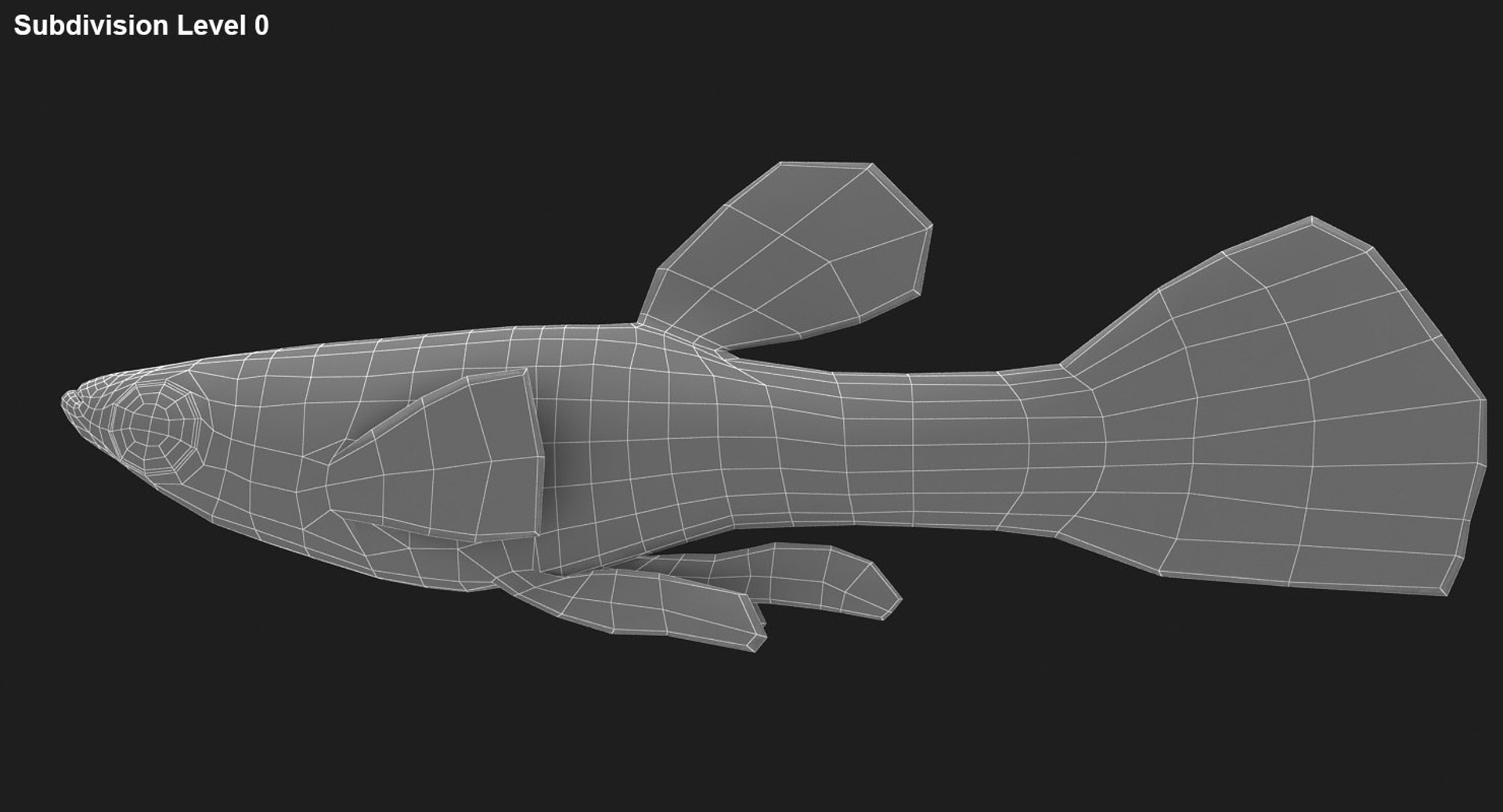 poecilia wingei model https://p.turbosquid.com/ts-thumb/gA/przp6C/gpnEU2vq/ryukingoldfish_rr29/jpg/1542298726/1920x1080/fit_q87/3bb6112b08a2160d3d0e72c844ecb7f5df35b094/ryukingoldfish_rr29.jpg