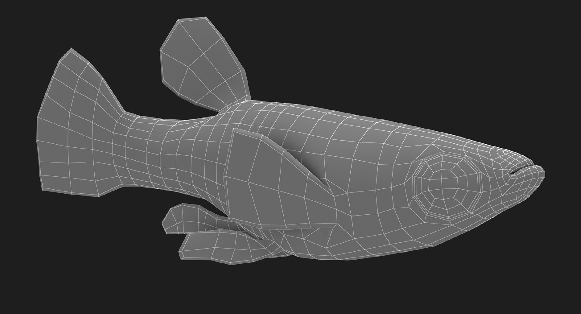 poecilia wingei model https://p.turbosquid.com/ts-thumb/gA/przp6C/wEoI5qKD/ryukingoldfish_rr19/jpg/1542298726/1920x1080/fit_q87/738f29fa29e1bfaa797dbd9ef1d10e7e0ea1a44e/ryukingoldfish_rr19.jpg