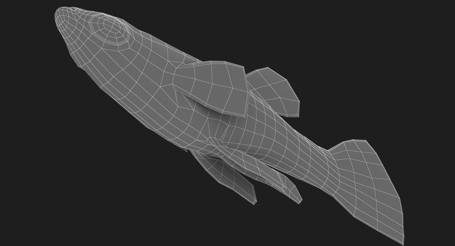 poecilia wingei model https://p.turbosquid.com/ts-thumb/gA/przp6C/ze0bZJti/ryukingoldfish_rr21/jpg/1542298726/1920x1080/fit_q87/92b2335cf8e1fabf76b71a66264905d733cd1764/ryukingoldfish_rr21.jpg