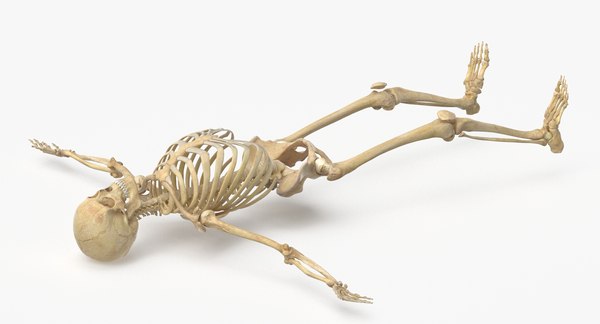 3D model real human female skeleton - TurboSquid 1674190