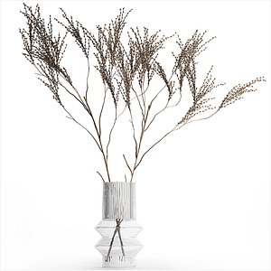 Minimalistic Bouquet Of Dry Branches In A Vase 315