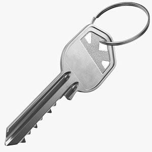 3D Silver Key