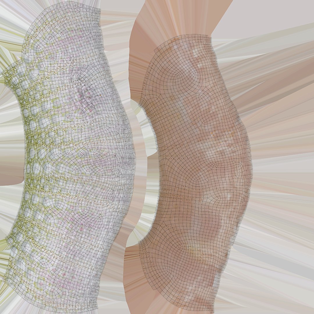 Sea Urchin 01 3D model https://p.turbosquid.com/ts-thumb/gB/Yds8UN/ad/seaurchin01_c0004/png/1762002725/1920x1080/fit_q87/f73264829e0307eaa5c61abe10129b060432c2c4/seaurchin01_c0004.jpg