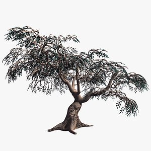 Olive Tree Barska