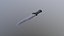 Cuchillo de combate realista - Low Poly