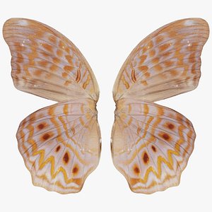 Great Eggfly Hypolimnas Bolina Remastered 3D model