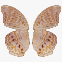Great Eggfly Hypolimnas Bolina Remastered