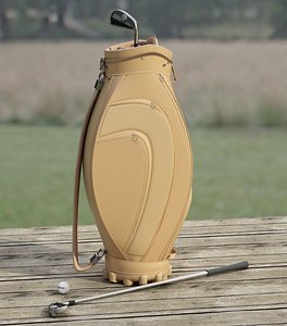 Golf bag