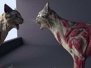 hungry cat 3D model