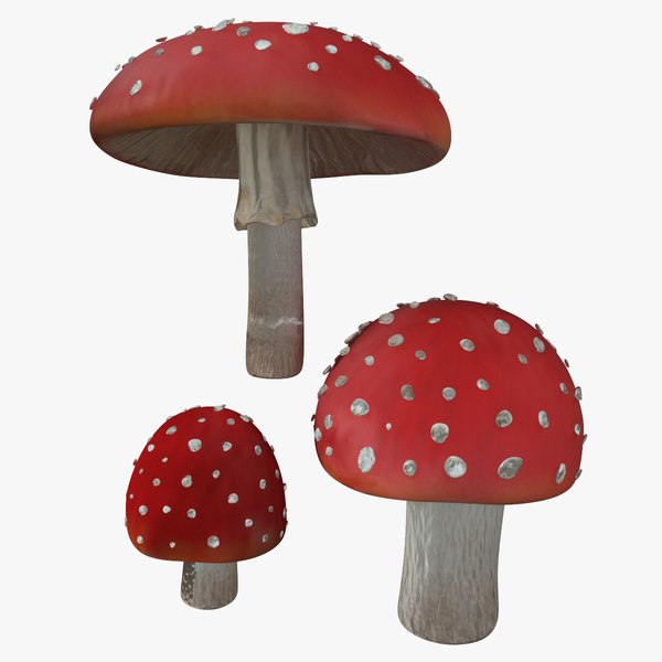 3D Amanita model